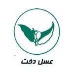 عسل دخت